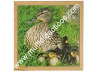 Puzzle foto pato